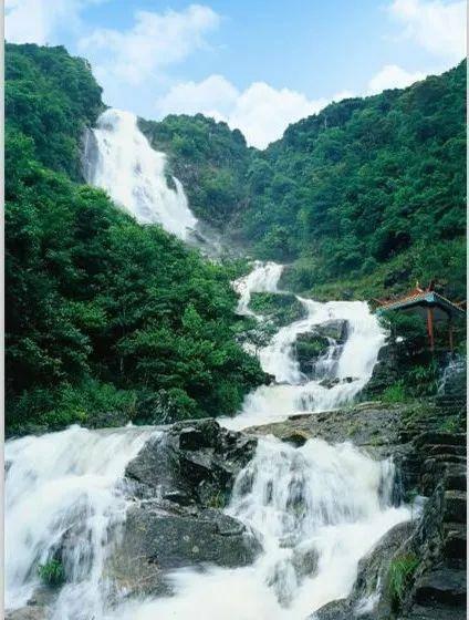 熊出没百层大冒险